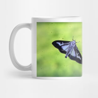 Box Tree Moth Mug